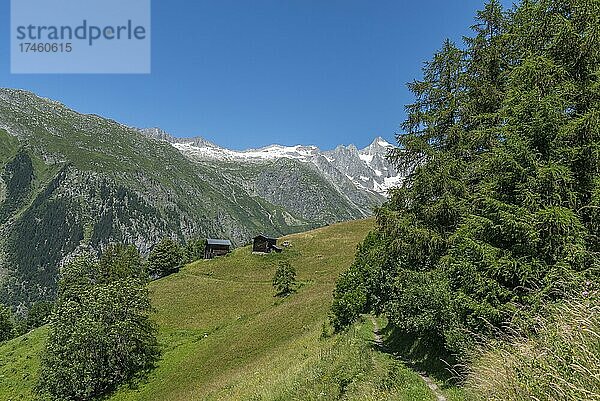 Landschaftspanorama mit der Wannenhorngruppe im Hintergrund  Bellwald  Wallis  Schweiz  Europa
