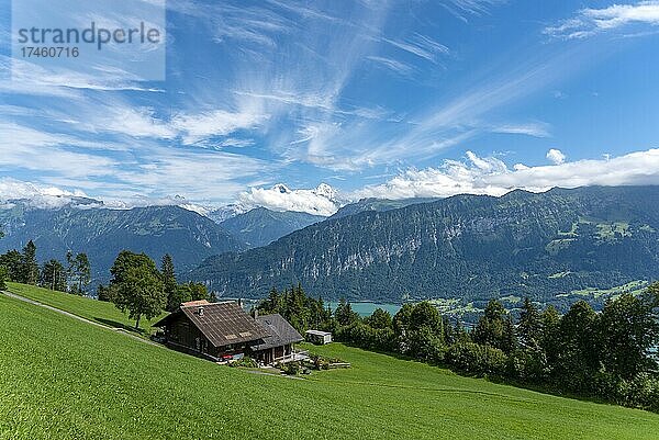 Landschaft mit Thunersee  im Hintergrund das Berner Dreigestirn Eiger  Mönch und Jungfrau  Beatenberg  Berner Oberland  Schweiz  Europa