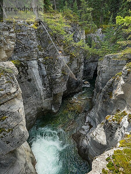 Maligne Canyon  Wildfluss fließt durch Schlucht  Jasper National Park Nationalpark  Canadian Rocky Mountains  Alberta  Kanada  Nordamerika