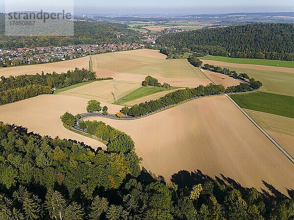 Drohnenaufnahme  Kurve im herbstlichen Wald  Roter Berg  L485  zwischen Diekholzen und Sibbesse  im Hintergrund Diekholzen  Kreis Hildesheim  Niedersachsen  Deutschland  Europa