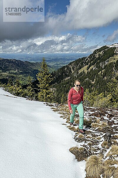 Wanderin im Frühling  Chiemgauer Alpen  Bayern  Deutschland  Europa