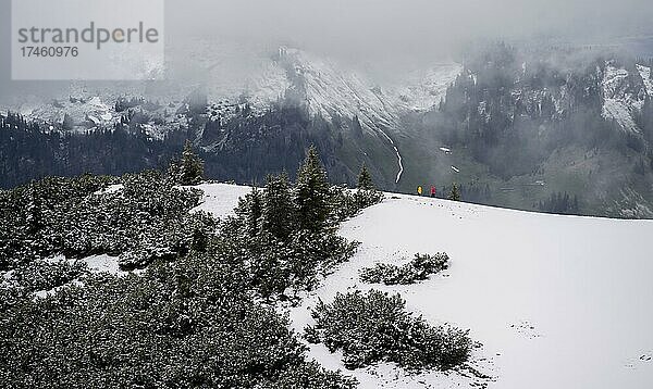 Zwei Wanderer auf einem schneebedeckten Grad  Chiemgauer Alpen  Bayern  Deutschland  Europa