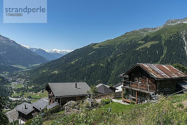 Ortsbild mit Weisshorngruppe und Eggishorn im Hintergrund  Bellwald  Wallis  Schweiz  Europa