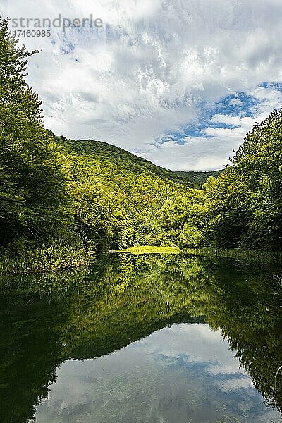 Schöner See im Naturschutzgebiet Grza  Serbien  Europa