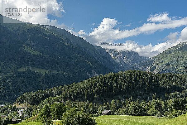 Landschaft mit der Wannenhorngruppe im Hintergrund  Ernen  Wallis  Schweiz  Europa
