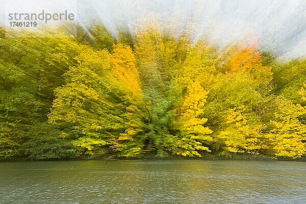 Herbstimpression am Fluss  Zoomeffekt  Hessen  Deutschland  Europa