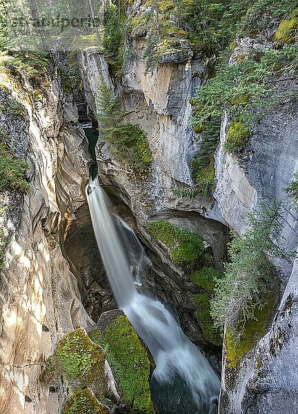 Wasserfall in einer Schlucht  Maligne Canyon  Wildfluss fließt durch Schlucht  Jasper National Park Nationalpark  Canadian Rocky Mountains  Alberta  Kanada  Nordamerika
