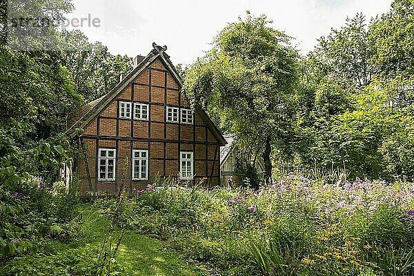 Reetgedecktes Bauernhaus  Wilsede  Naturpark Lüneburger Heide  Niedersachsen  Deutschland  Europa