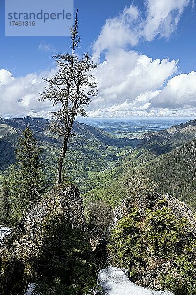 Bayrische Voralpen  Chiemgautal  Aschau im Chiemgau  Chiemgauer Alpen  Bayern  Deutschland  Europa