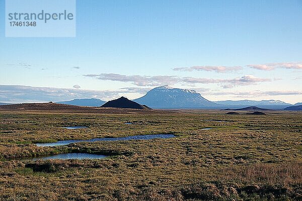 Weite Landschaft mit Tümpeln  Berg ragt heraus  Herdubreid  Tafelvulkan  Mödrudalur  Ostisland  Island  Europa