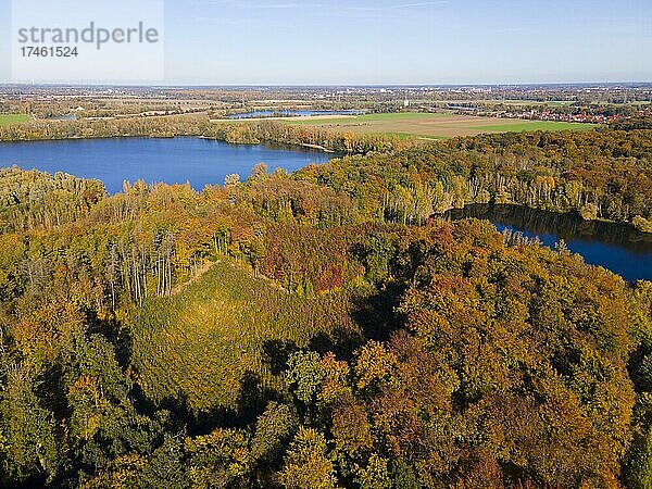 Drohnenaufnahme  Seen im Herbstwald  Bülten  Ilsede  Kreis Peine  Niedersachsen  Deutschland  Europa