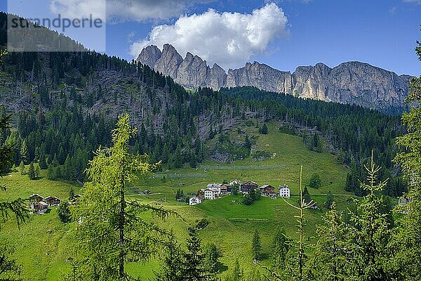 Bergbauernhöfe an der Burgruine Buchenstein  auch Burg Andraz  unterhalb Falzaregopass  Livinallongo del Col di Lana  Veneto  Dolomiten  Italien  Europa