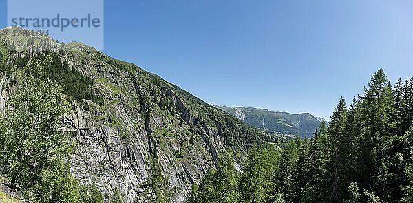 Landschaft am Wanderweg zwischen Bellwald und Aspi-Titter Hängebrücke  Fieschertal  Wallis  Schweiz  Europa