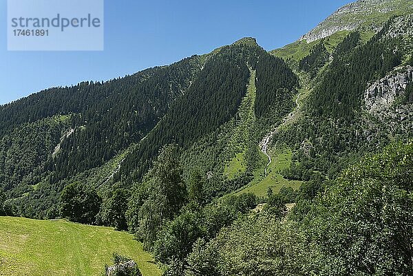 Landschaft am Wanderweg zwischen Bellwald und Aspi-Titter Hängebrücke  Fieschertal  Wallis  Schweiz  Europa