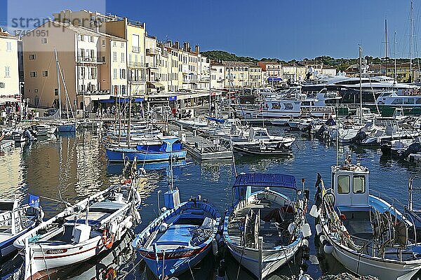 Hafen von Saint Tropez  Var  Französische Riviera  Provence-Alpes-Cote d'Azur  Frankreich  Europa