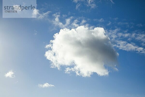 Eine einzelne Schäfchenwolken ziert nebst wenigen Federwolken bei starkem Wind den blauen Himmel