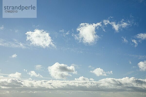 Schäfchen-. Schleier- und Haufenschichtwolken zieren bei starkem Wind den blauen Himmel