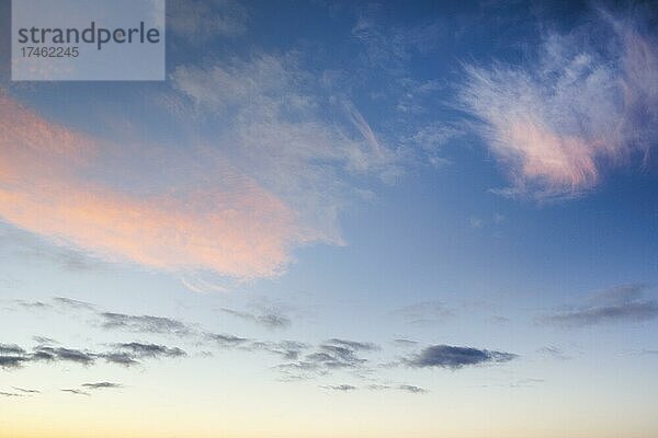 Rosa gefärbte Cirrus Wolken zieren bei Sonnenaufgang den blauen Himmel