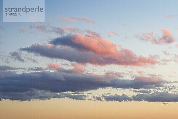 Rosa farbene Quellwolken zieren den abendllichen Himmel bei Sonnenuntergang