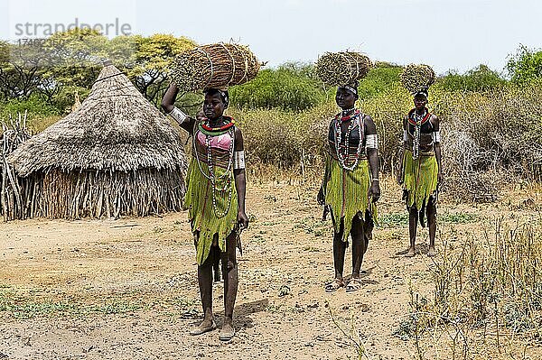Mädchen mit gesammeltem Schilf auf dem Kopf auf dem Heimweg  Toposa-Stamm  Ost-Äquatoria  Südsudan  Afrika