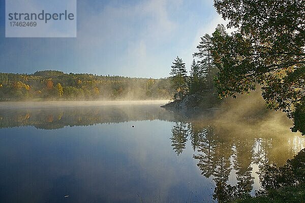 Erste Morgensonne und Nebel über einem ruhigen see  bunt gefärbte Blätter und blauer Himmel  Vasstoppen  Bullaren  Bohuslän  Skandinavien  Schweden  Europa