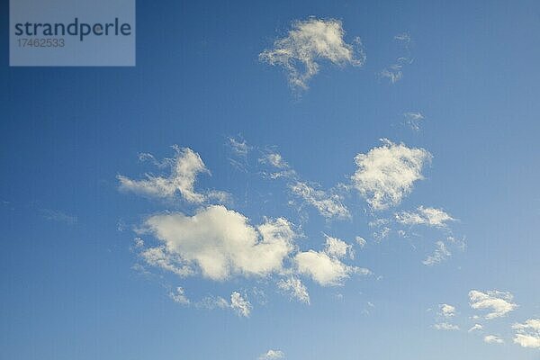Schäfchenwolken zieren den abendllichen blauen Himmel