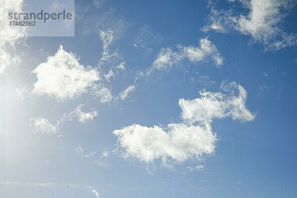 Feder- und Schäfchenwolken zieren bei starkem Wind den blauen Himmel