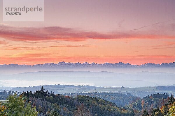 Herbstlicher Sonnenaufgang mit Nebelschwaden über dem hügeligen Mittelland  Schweizer Alpen im Hintergund  Aussicht von Höchenschwand im Schwarzwald  Deutschland  Europa