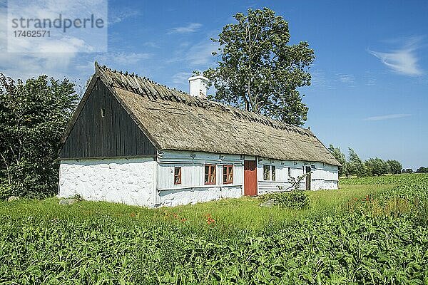 Örumshuset  ein altes Bauernhaus  erbaut um das Jahr 1800. Unterkunft für den Bauern und seine Haustiere. Museumsgebäude in Örum  Gemeinde Ystad  Schonen  Schweden  Skandinavien  Europa