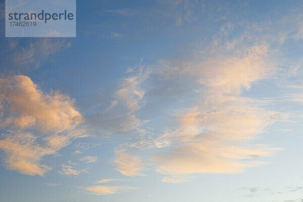 Orange gefärbte Cirrus Wolken zieren bei Sonnenaufgang den blauen Himmel