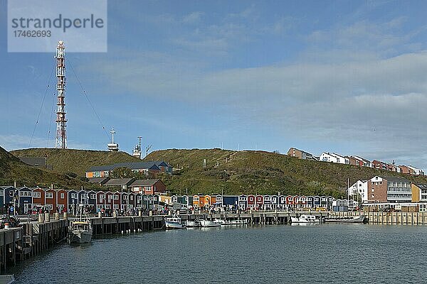 Hummerbuden  Hafen  Insel Helgoland  Schleswig-Holstein  Deutschland  Europa