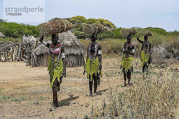 Mädchen mit gesammeltem Schilf auf dem Kopf auf dem Heimweg  Toposa-Stamm  Ost-Äquatoria  Südsudan  Afrika