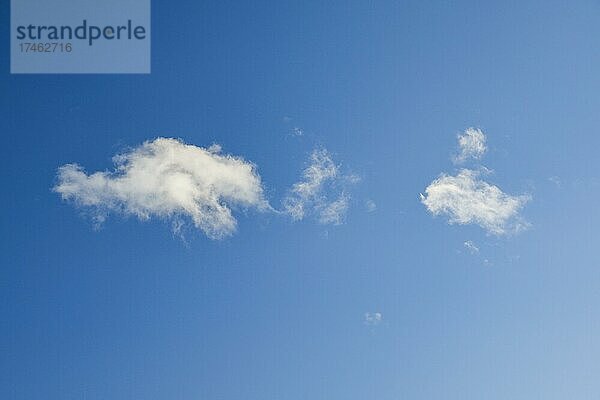 Schäfchenwolken zieren den abendllichen blauen Himmel