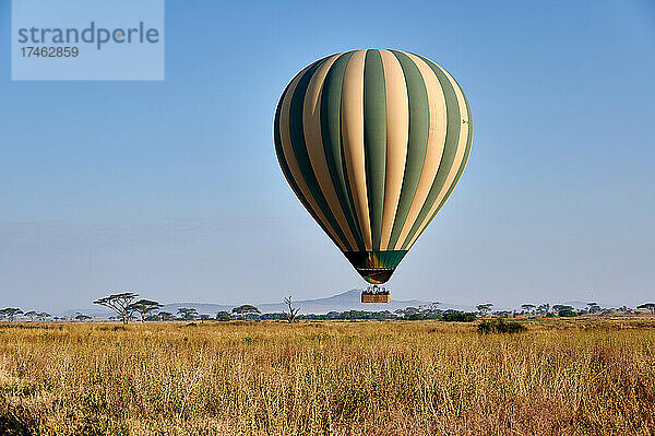 Heissluftballon ueber der Landschaft des Serengeti National Park  Tansania  Afrika |Hot air balloon over landscape of Serengeti National Park  Tanzania  Africa|