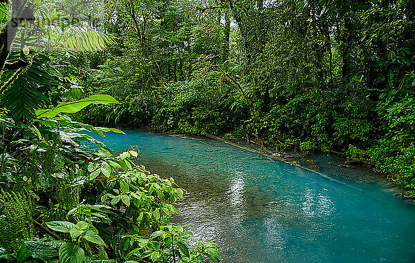 blauer Fluss Rio Celeste  Parque Nacional Volcán Tenorio  Costa Rica  Zentralamerika |blue river Rio Celeste  Parque Nacional Volcán Tenorio  Costa Rica  Central America|