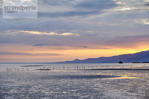 Sonnenaufgang am Lake Natron mit Flamingos  Lake Natron  Ngorongoro Conservation Area  Tansania  Afrika |Sunrise on Lake Natron with flamingos   Lake Natron  Ngorongoro Conservation Area  Tanzania  Africa|