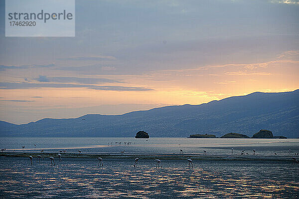 Sonnenaufgang am Lake Natron mit Flamingos  Lake Natron  Ngorongoro Conservation Area  Tansania  Afrika |Sunrise on Lake Natron with flamingos   Lake Natron  Ngorongoro Conservation Area  Tanzania  Africa|