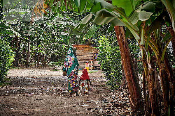 Einheimische Frau mit Kind in bunter Kleidung bei Dorfwanderung in Mto wa Mbu  Tansania  Afrika |Local woman with child in colorful clothes during village walk in Mto wa Mbu  Tanzania  Africa|