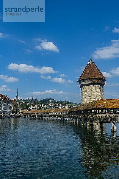 Kapellbrücke  Holzsteg  Luzern  Schweiz  Europa