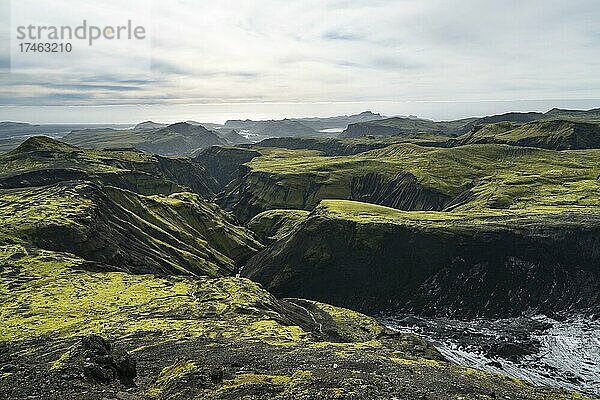Am Fuß vom Mýrdalsjökull Gletscher  moosbewachsene Hügel  Island  Europa