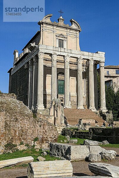 Historische Fassade von Tempel von Pius und Faustina mit Treppenaufgang und antike Säulen  heute auch Kirche San Lorenzo in Miranda  links im Vordergrund Säulenfragmente  Forum Romanum  Rom  Latium  Italien  Europa