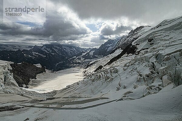Blick vom Jungfraujoch auf den Aletschgletscher  Berner Alpen  Schweiz  Europa