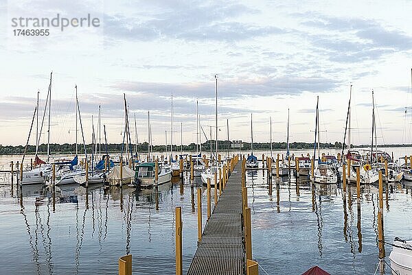 Segelboote  Kirchmöser  Plauer See  Brandenburg  Deutschland  Europa