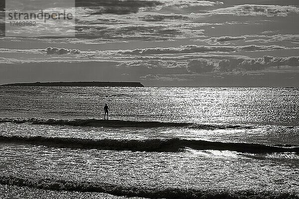 Sonnenlicht glitzert auf dem Meer  Person auf Stand-up Paddle auf Wellen  Silhouette  Ostsee  Djupvik  Insel Gotland  Schweden  Europa