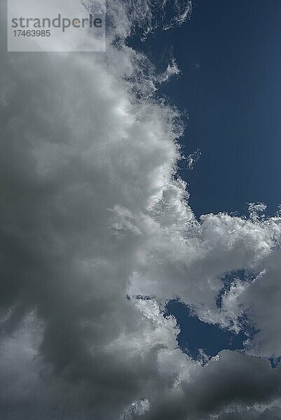 Regenwolken (Nimbostratus)  Bayern  Deutschland  Europa