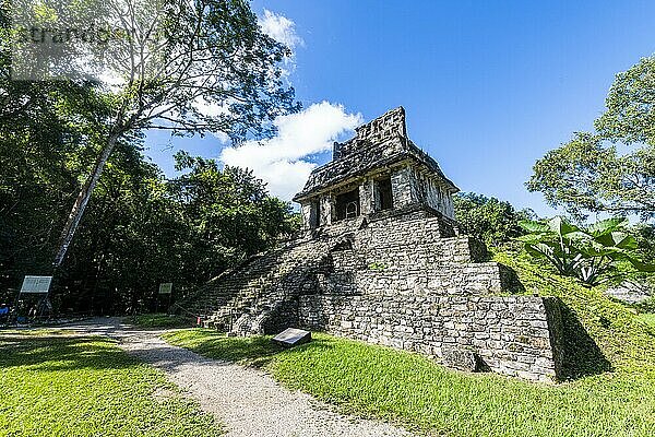 Unesco-Weltkulturerbe  die Maya-Ruinen von Palenque  Chiapas  Mexiko  Mittelamerika