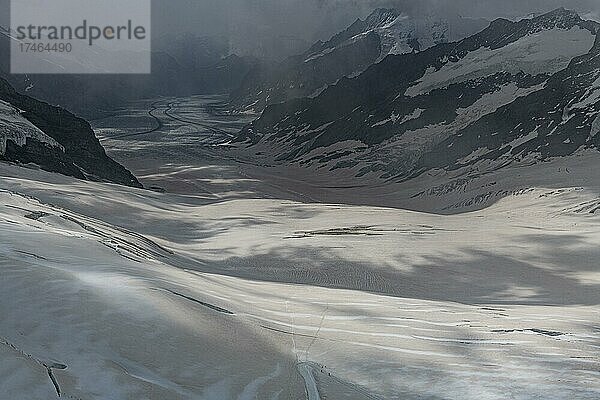Blick vom Jungfraujoch auf den Aletschgletscher  Berner Alpen  Schweiz  Europa