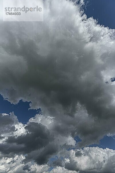 Regenwolken (Nimbostratus)  Bayern  Deutschland  Europa