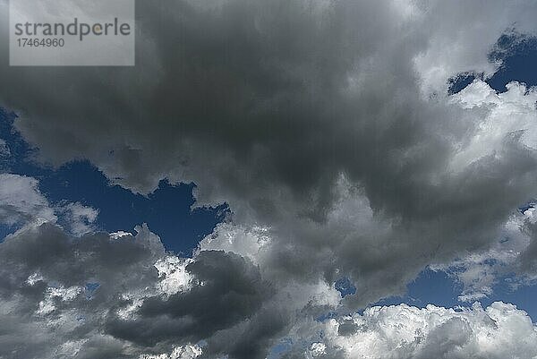 Regenwolken (Nimbostratus)  Bayern  Deutschland  Europa