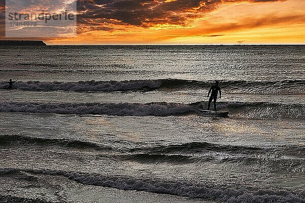 Sonnenuntergang am Meer  Person auf Stand-up Paddle auf Wellen  Silhouette  Ostsee  Djupvik  Insel Gotland  Schweden  Europa